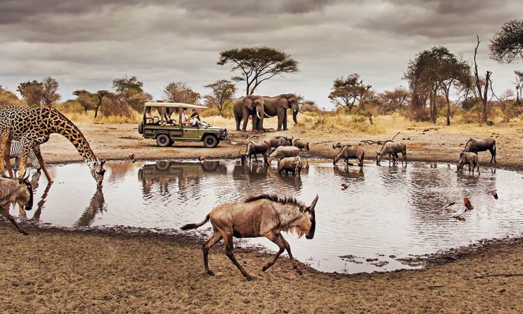 10-Facts-About-Serengeti-National-Park-750×450