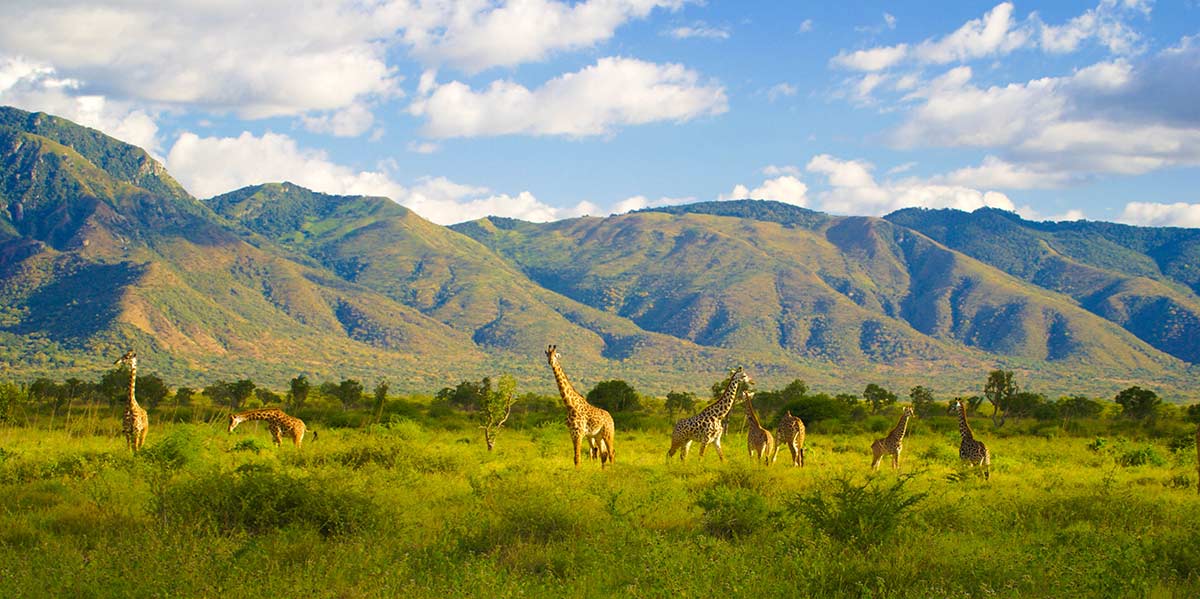 Mkomazi-National-Park-1