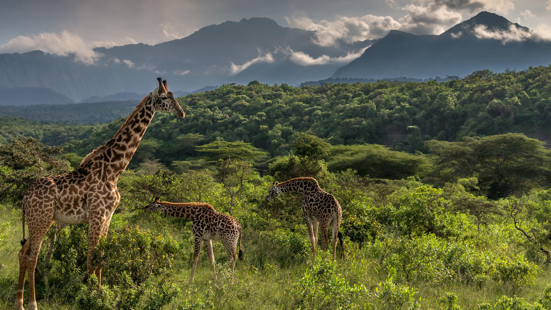 arusha-national-park-day-trips-1-1