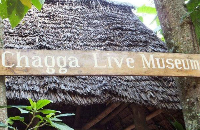 chagga1